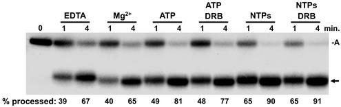 FIG. 5.