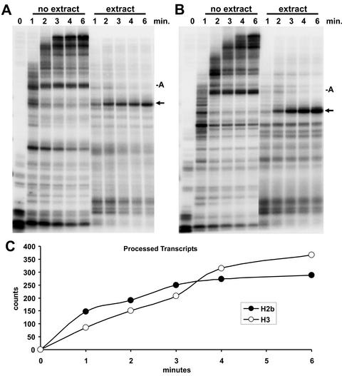 FIG. 8.