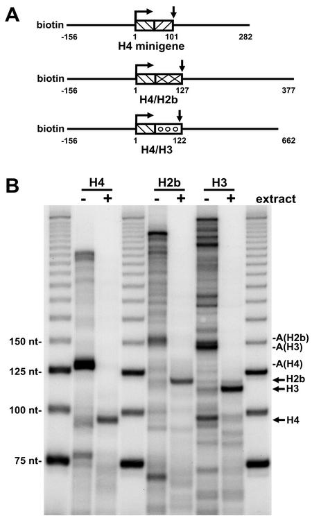 FIG. 7.