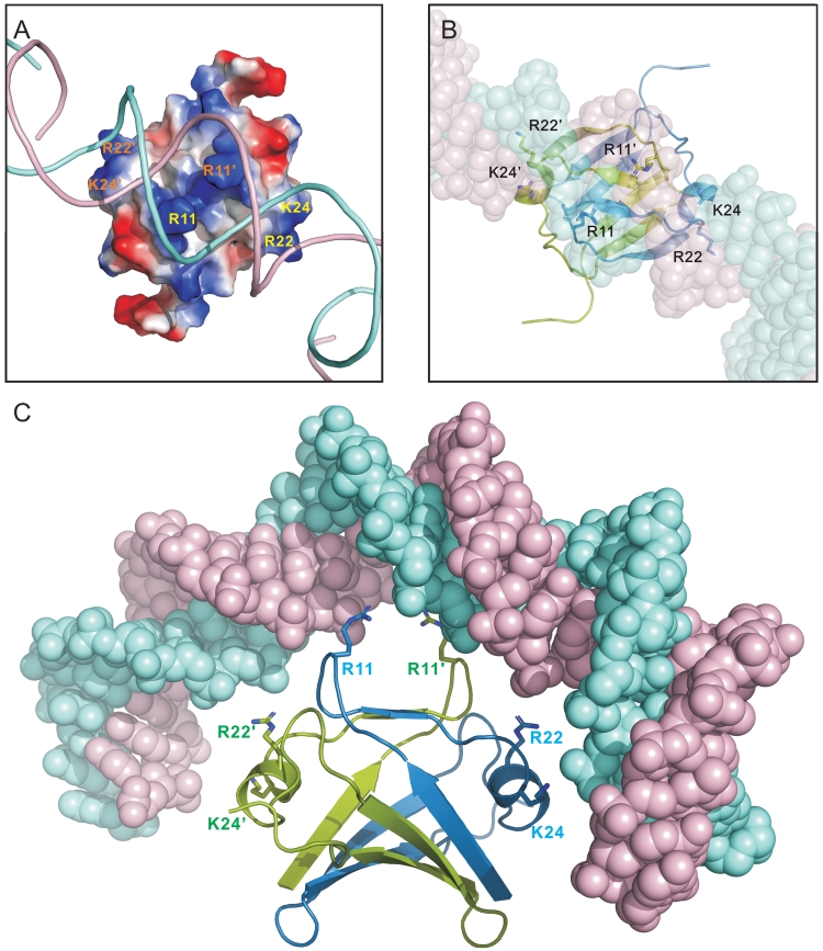 Figure 6.