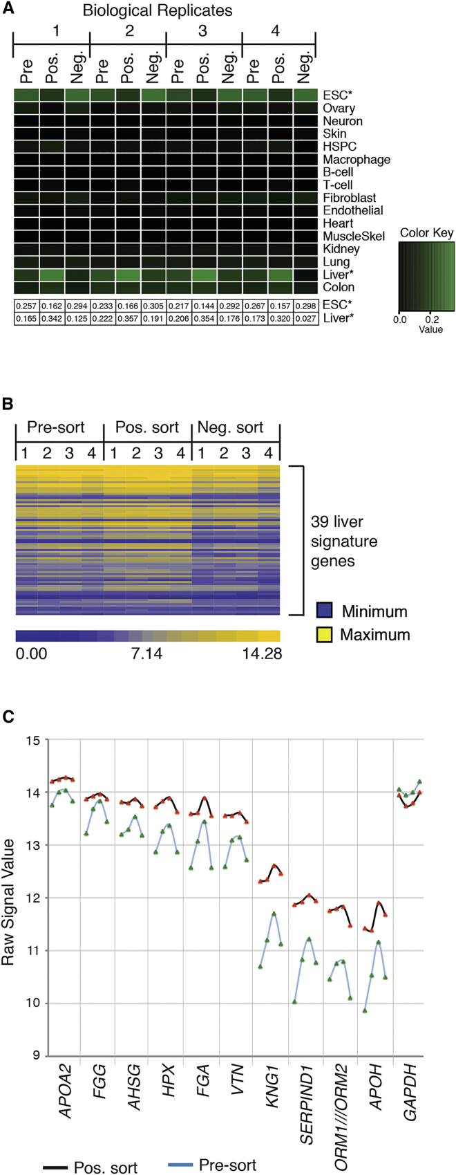 Figure 6