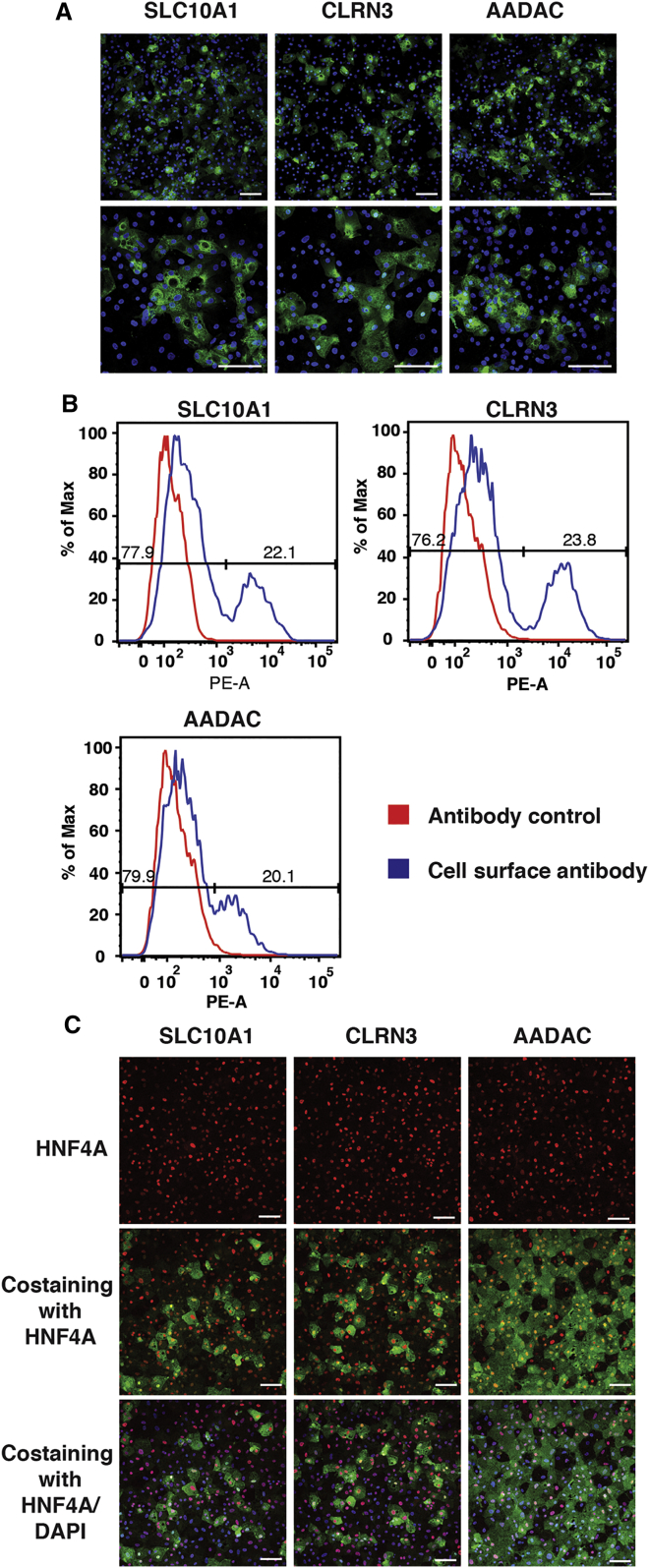 Figure 4