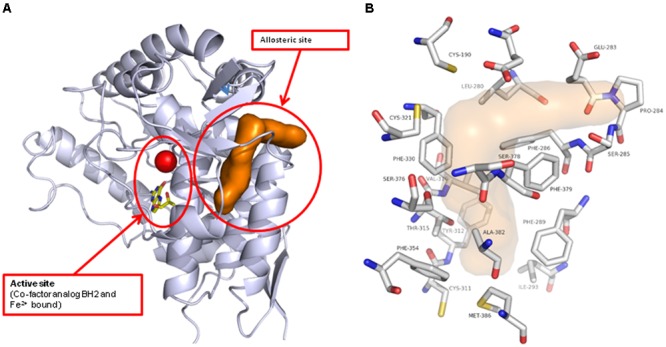 FIGURE 3