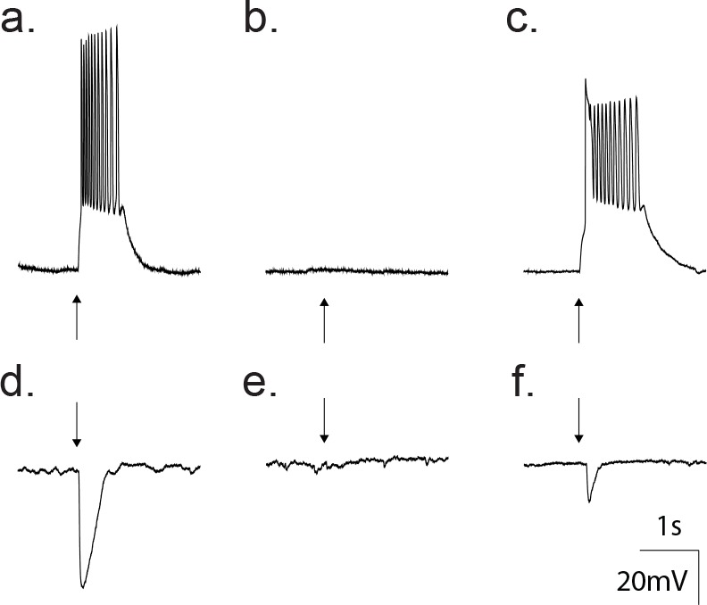 Figure 5.