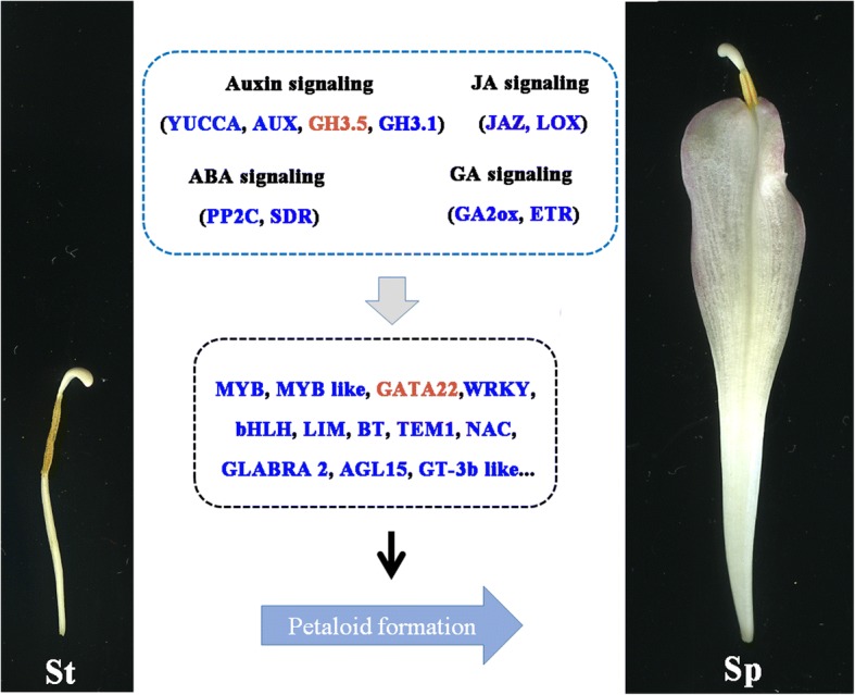 Fig. 7