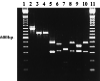 FIG. 5