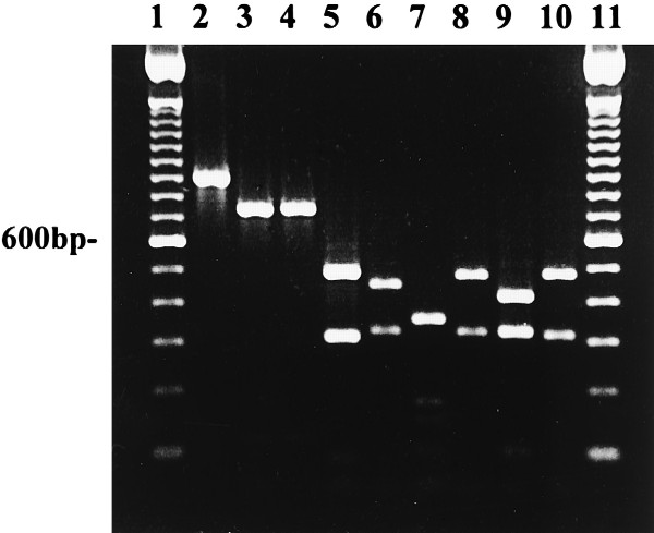 FIG. 5