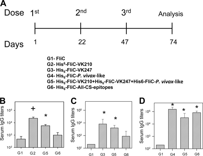 Fig 3