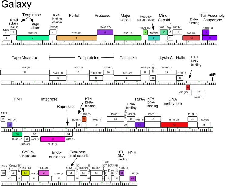 Fig 15