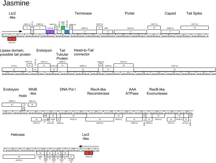 Fig 16