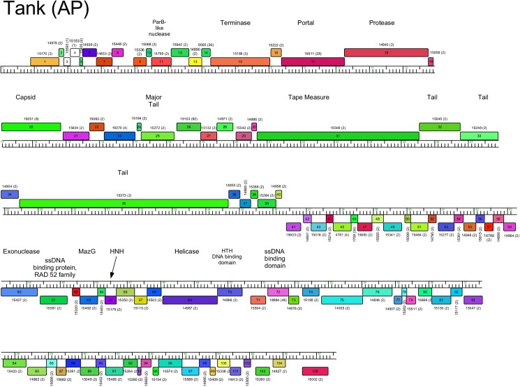 Fig 11