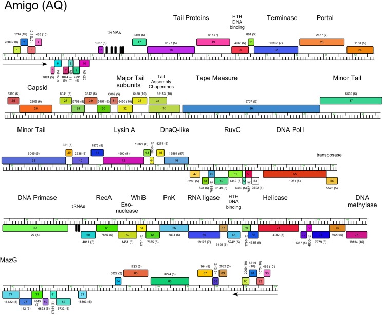 Fig 12