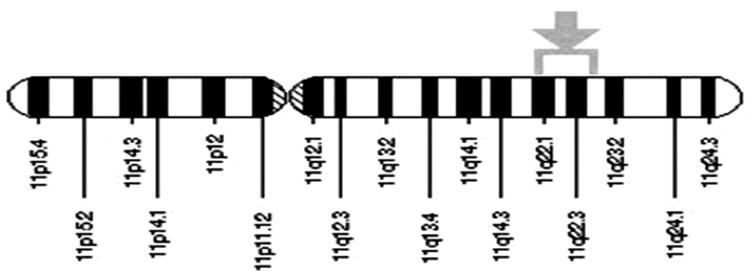 Figure 2.