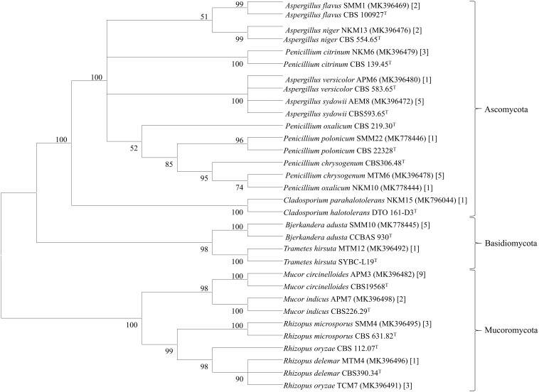 FIGURE 2