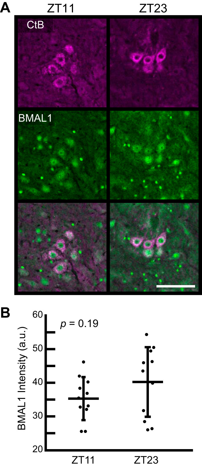 Fig. 3.