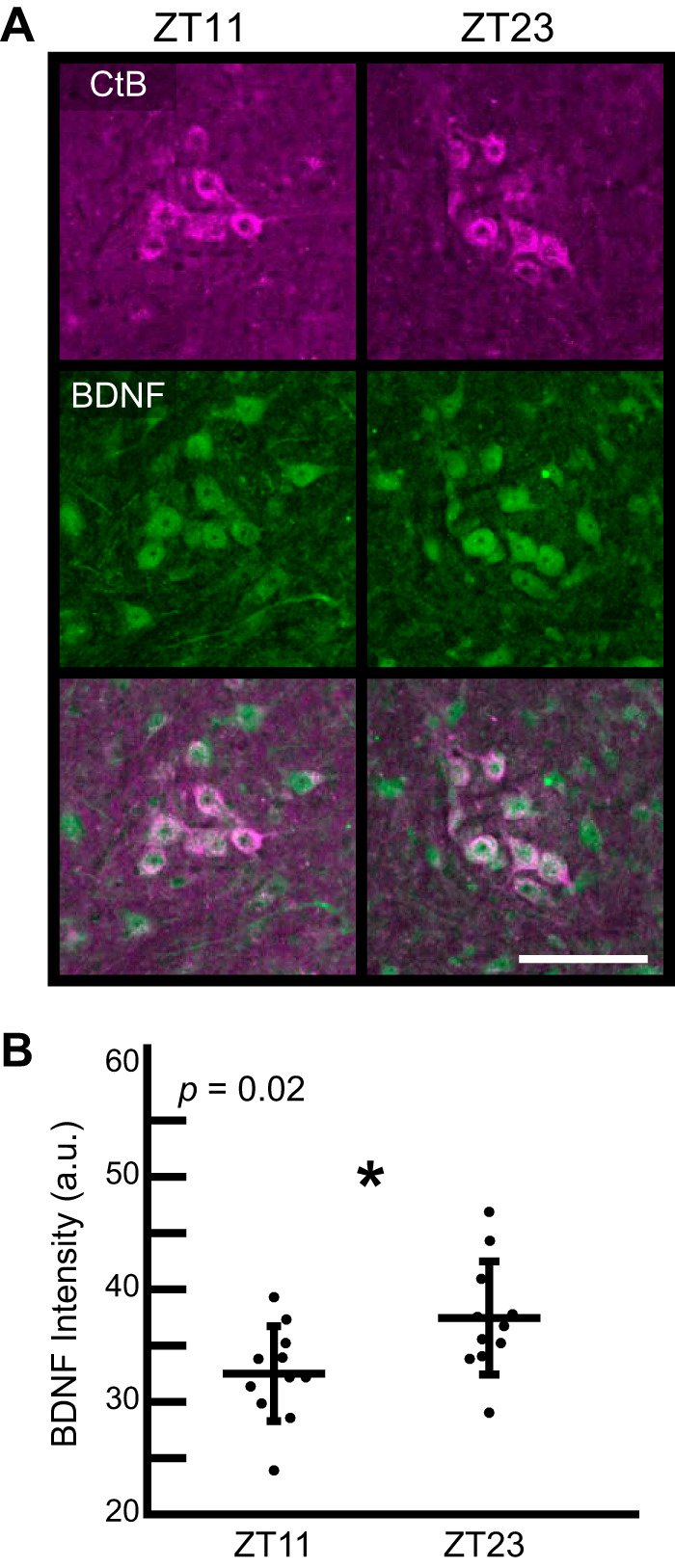 Fig. 4.