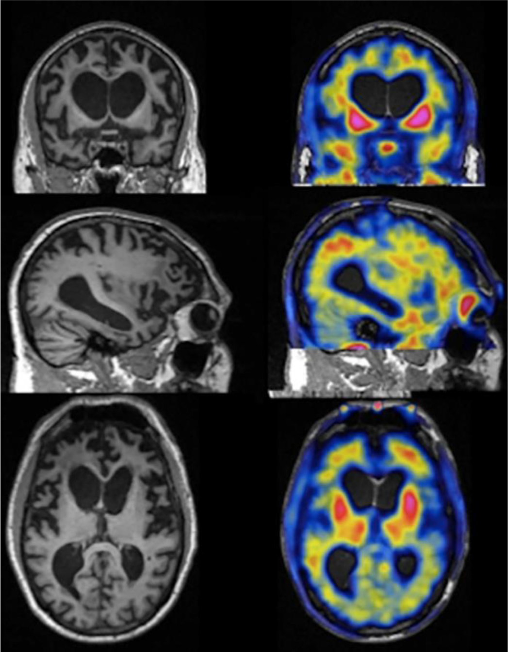 Fig. 8.