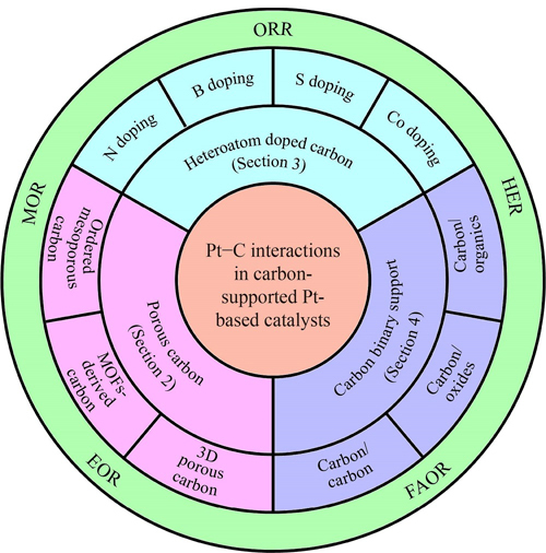 graphic file with name 11705_2023_2300_Fig1_HTML.jpg