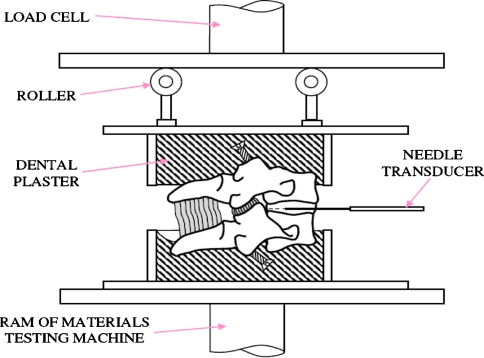 Fig. 1