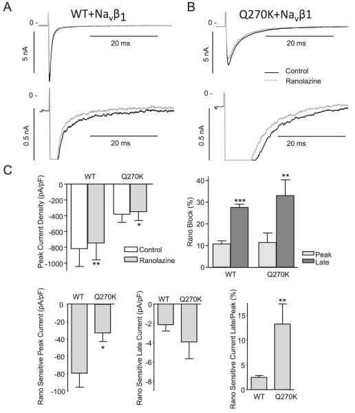 Fig. 9