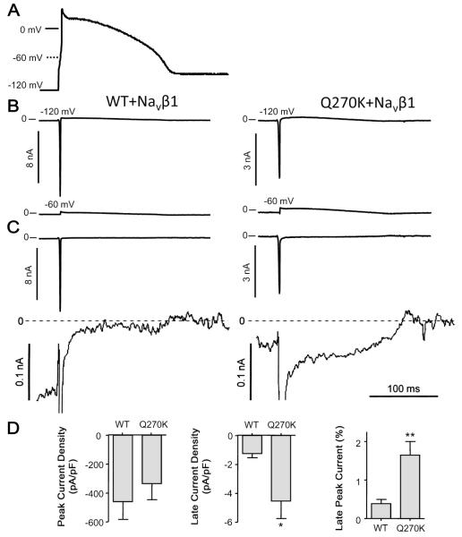 Fig. 8