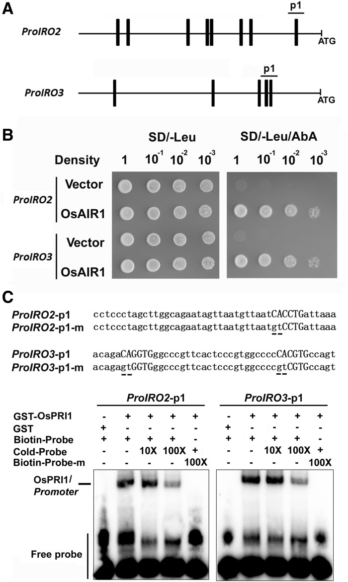 Figure 6.