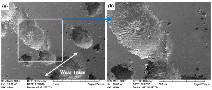 Figure 24