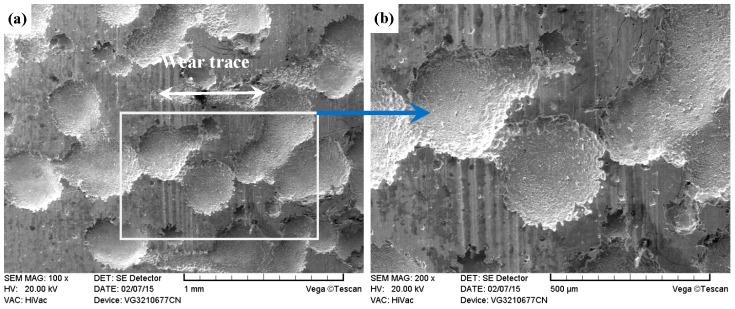 Figure 30