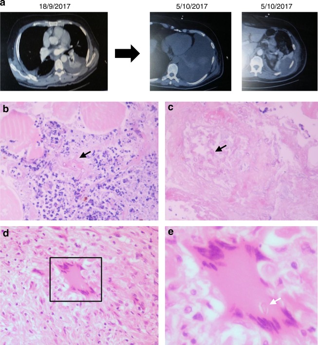 Fig. 9