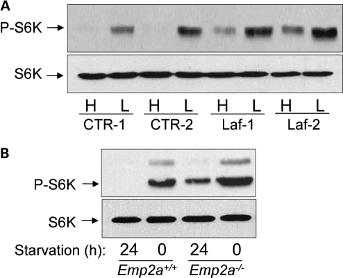 Figure 4.