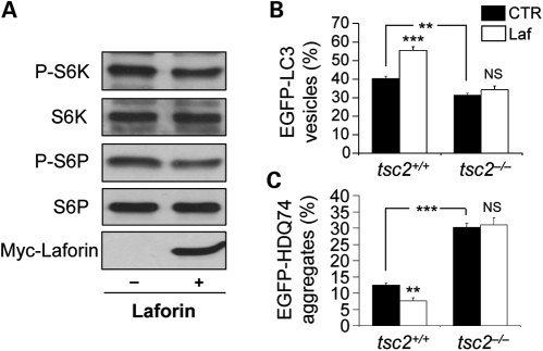 Figure 6.