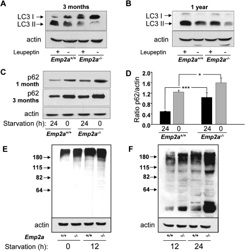 Figure 3.