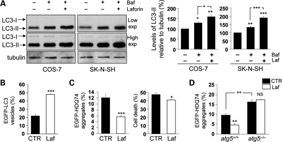 Figure 5.