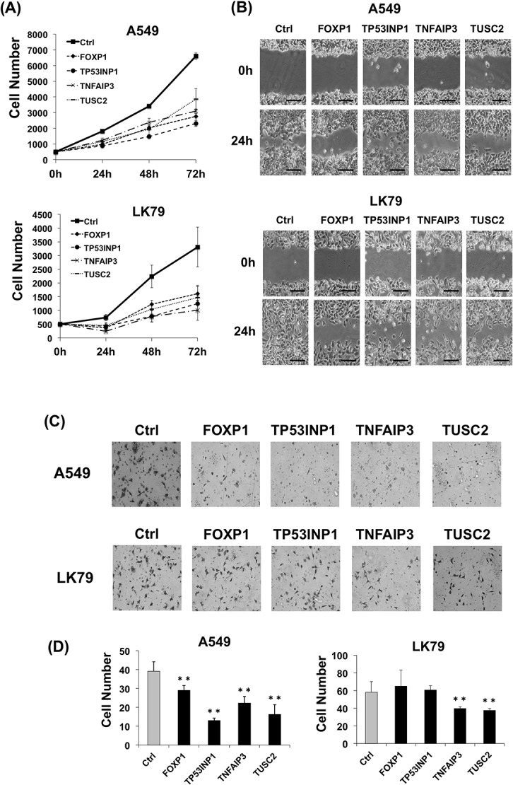 Fig 8