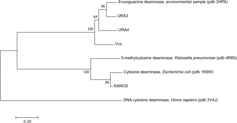 FIGURE 3