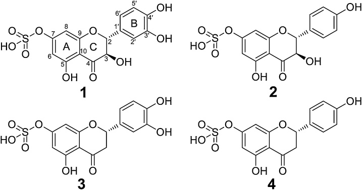 Fig. 2