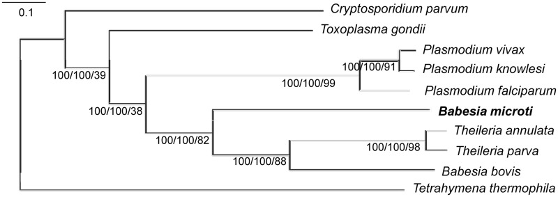 Figure 4.