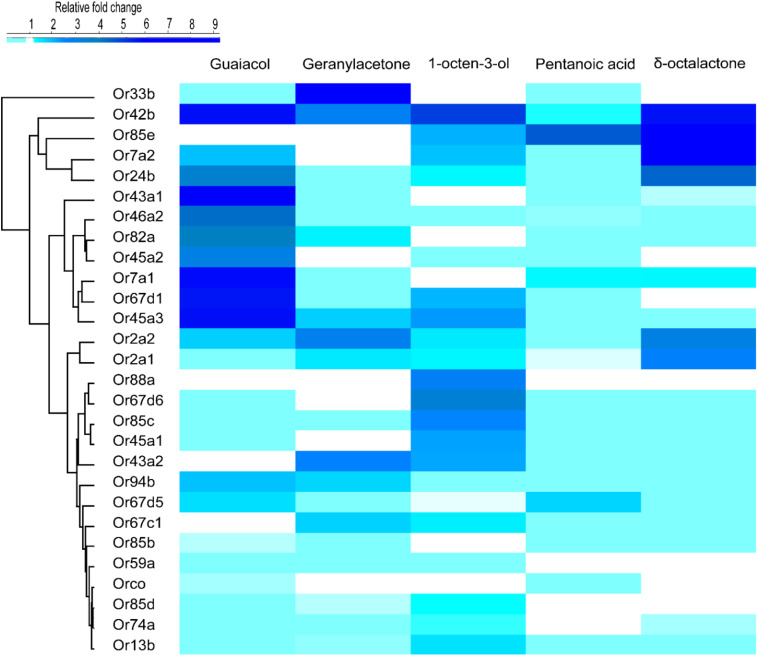 FIGURE 3