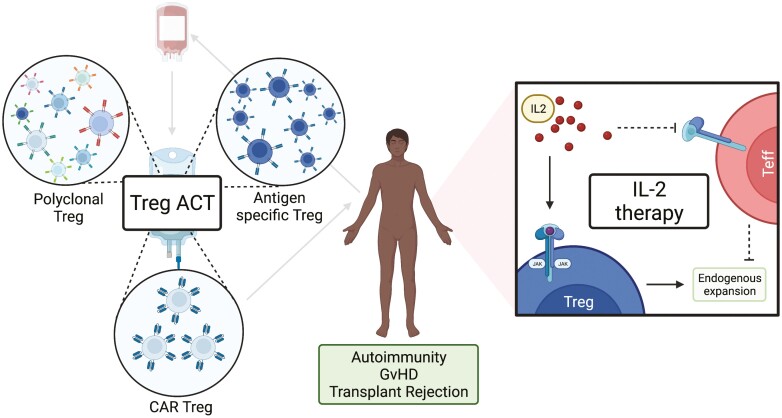 Graphical Abstract