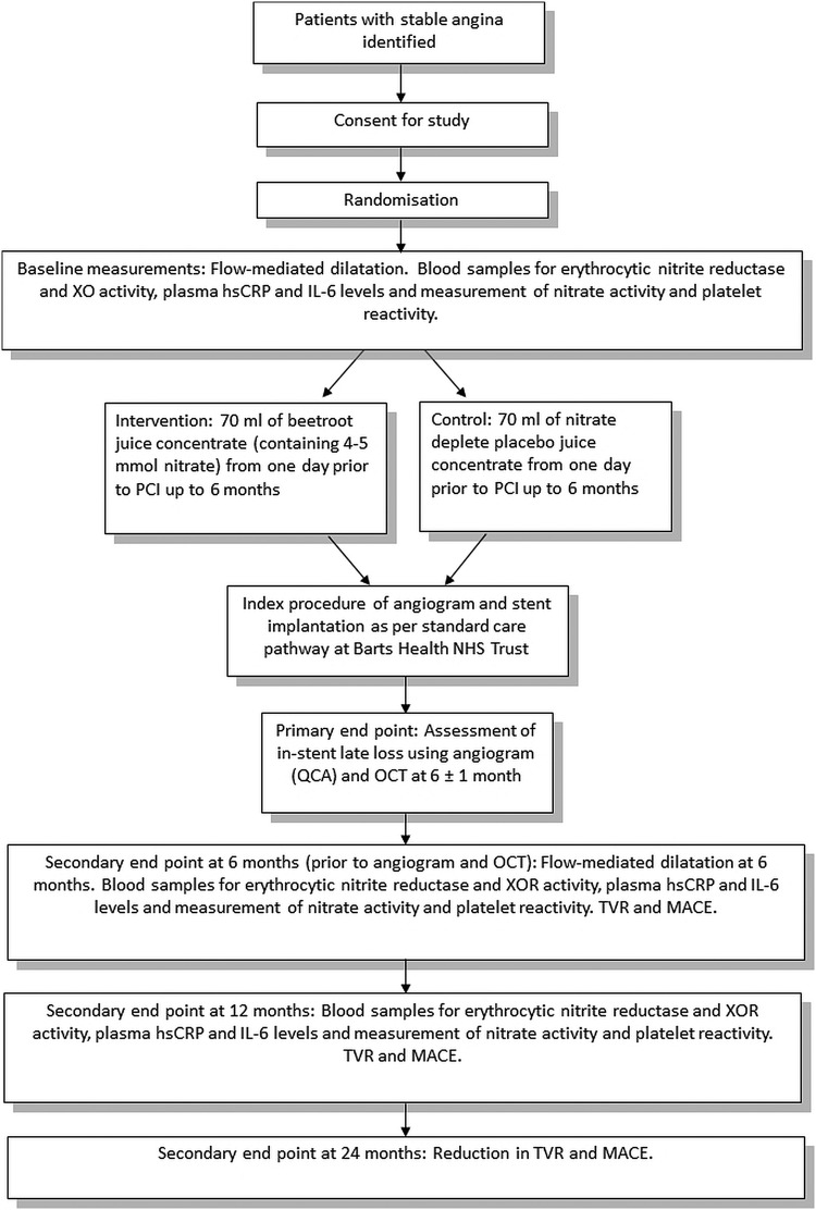 Figure 1