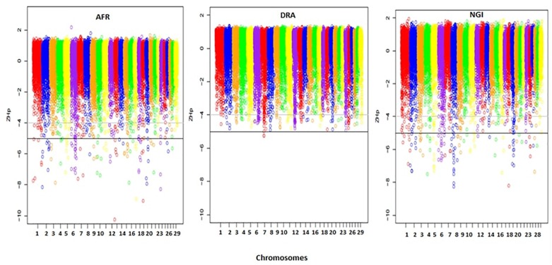 FIGURE 4