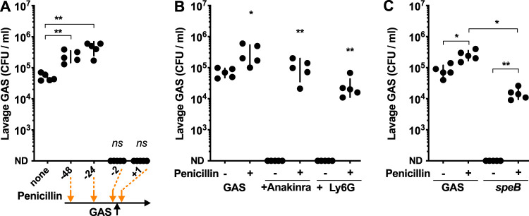 FIG 5