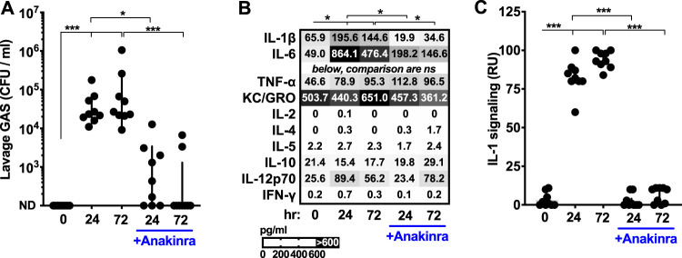 FIG 1