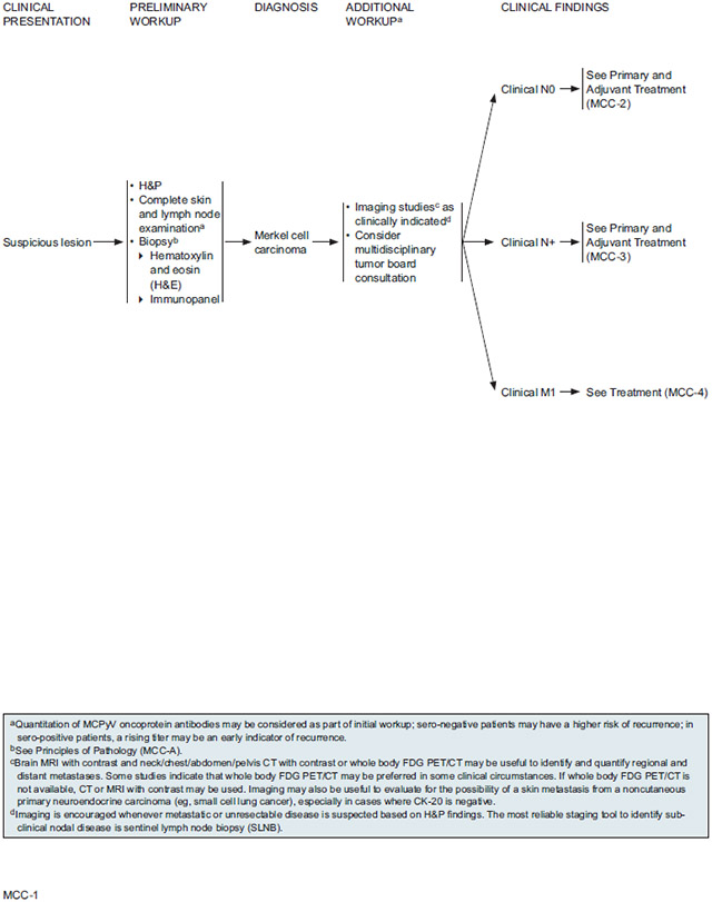 graphic file with name nihms-1832456-f0001.jpg