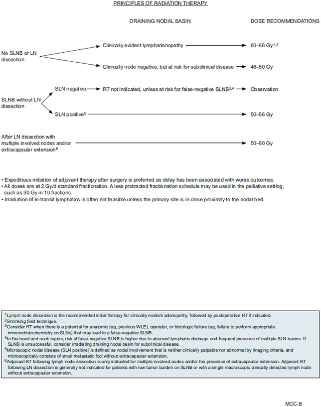 graphic file with name nihms-1832456-f0008.jpg