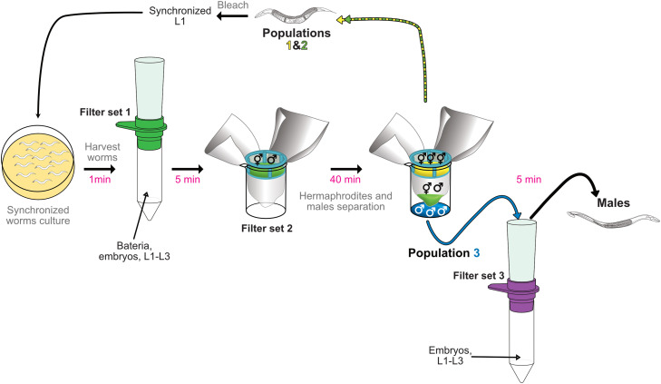 Fig 2: