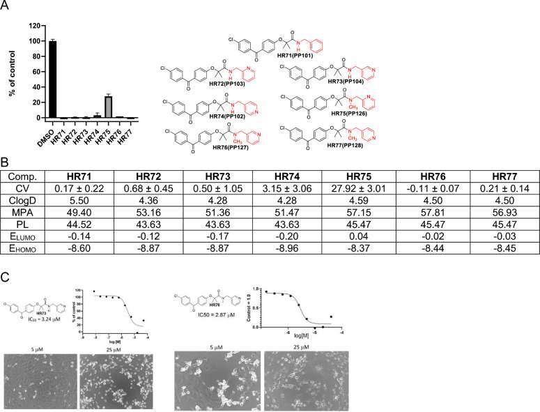 Figure 6