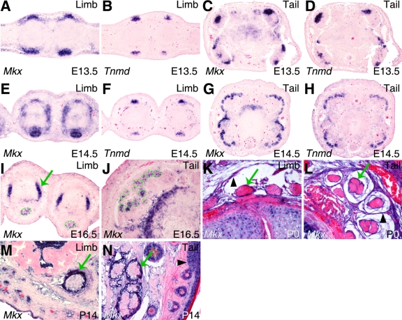 FIG. 5.