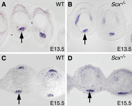 FIG. 7.