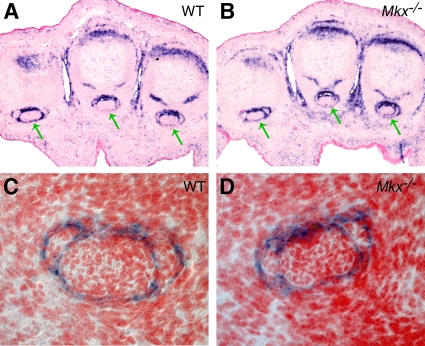 FIG. 10.